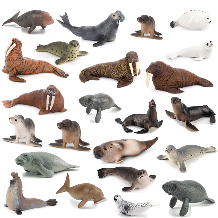 Kids No Education - Realistische Dugong-, Manatee-, Walross-, Seelöwen- und