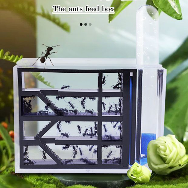 Kingdom Kids Education - Ameisenkönigreich Ameisennest-Burg Ameisen-Beobachtungsbox Insektenbox Insektenzuchtbox Ökologisches