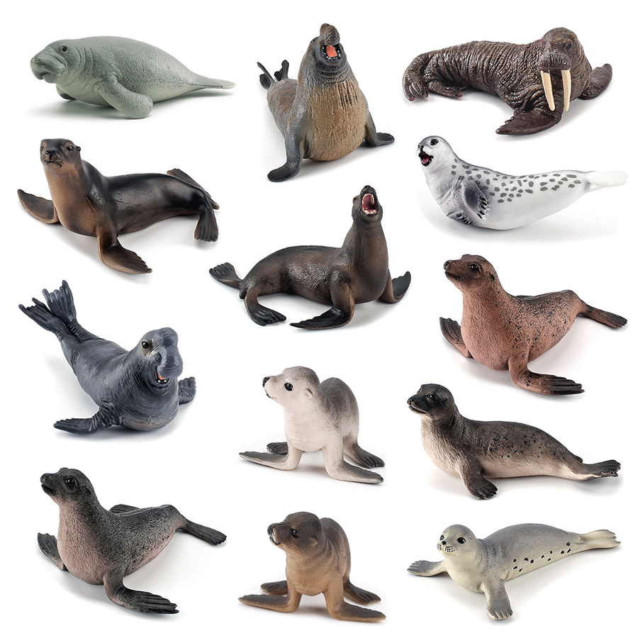 Realistische Dugong-, Manatee- – Kids No Education Bewertung und Preis