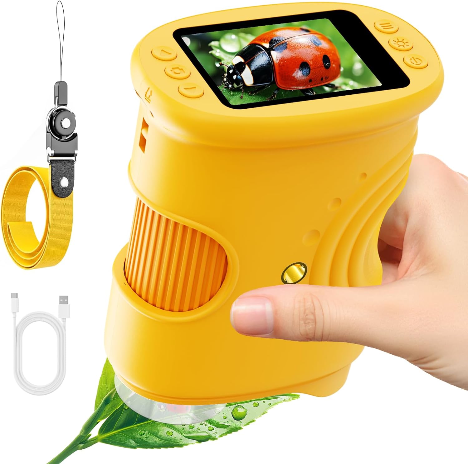Digitales Mikroskop für Kinder – Education Kids Definition Bewertung und Preis
