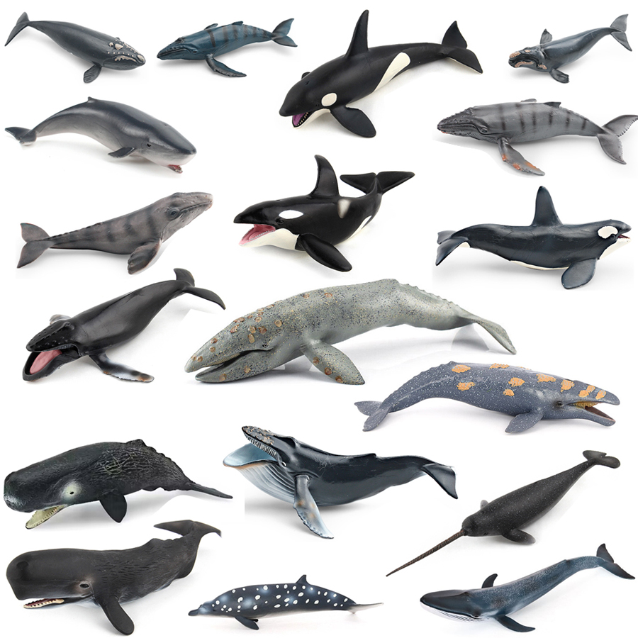 Realistische Modellfiguren von – Kids No Education Bewertung und Preis